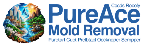 Pureace Mold Removal